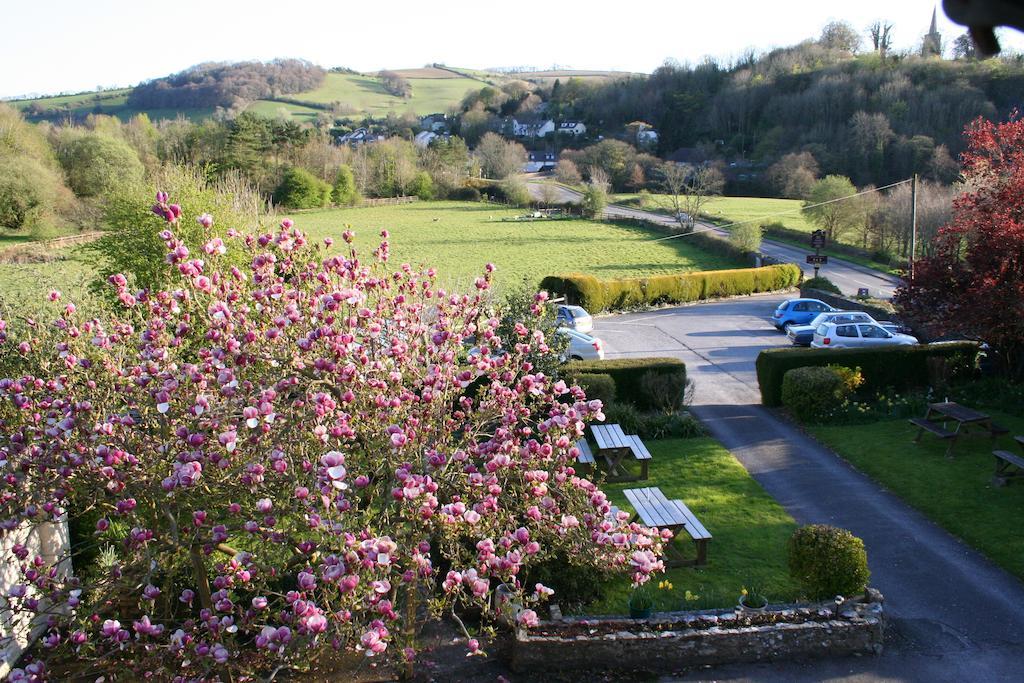 Furzeleigh Mill Inn Buckfastleigh Exterior foto